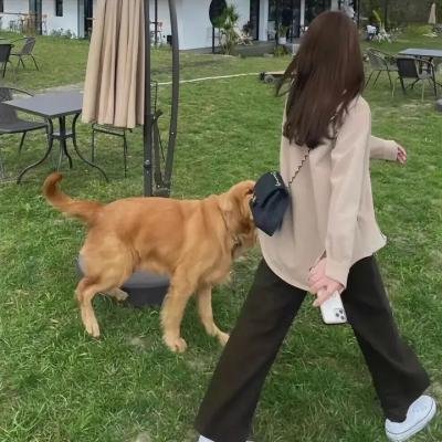 残缺格斗士